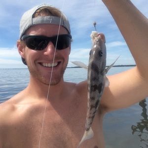 Meet your Posher, Paul